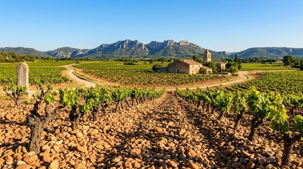 Les principales caractéristiques du terroir du vin Plan de Dieu et son histoire